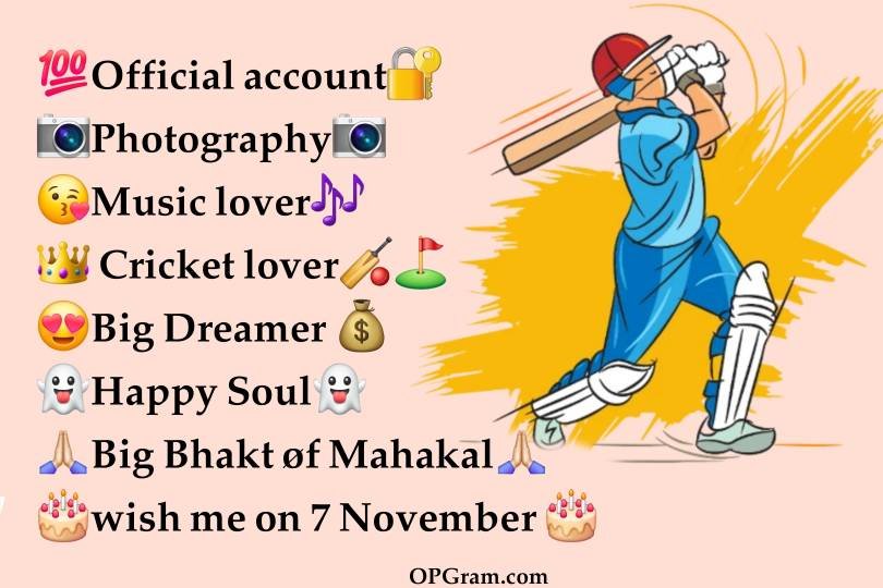 Instagram Bio For Cricket Lovers