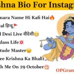 Krishna bio for Instagram