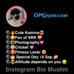 Instagram Bio For Muslim Boys