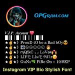 Instagram VIP Bio Stylish Font