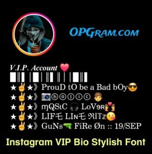 Instagram VIP Bio Stylish Font