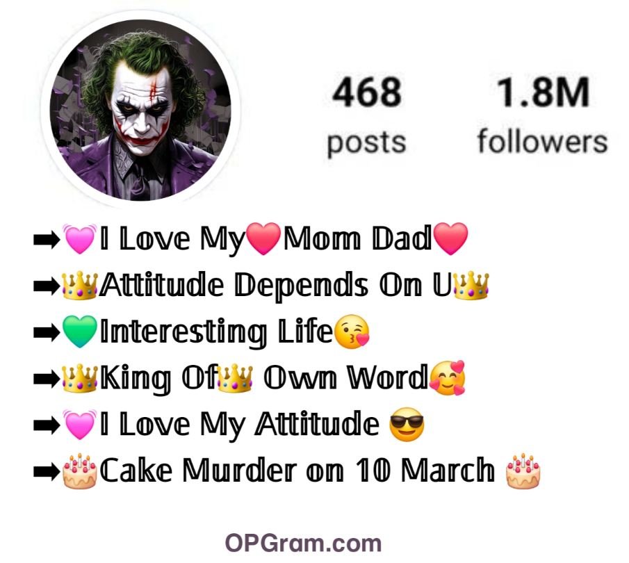 Instagram VIP Bio For Boys In Stylish Font