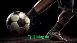Introducing the Most Popular TP88 Sports Betting in 2025