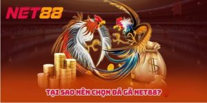Cockfighting at NET88 Casino: Traditional Thrills in a Modern Online Arena