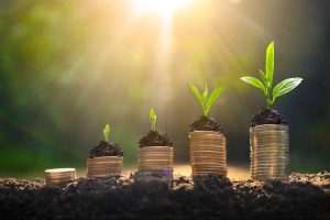 Smart Cash Flow: 6 Software Tools That Keep Your Business in the Green
