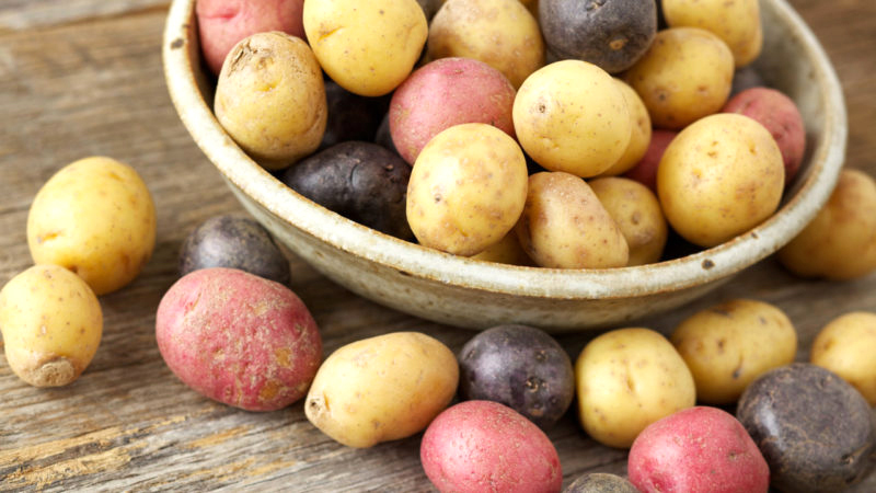 Comparing Potatoes To Other Well-Known Starchy Vegetables