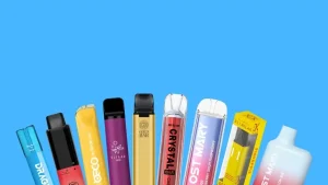 Why Innovative Disposable Vape Brands Are Leading the Future of Vaping