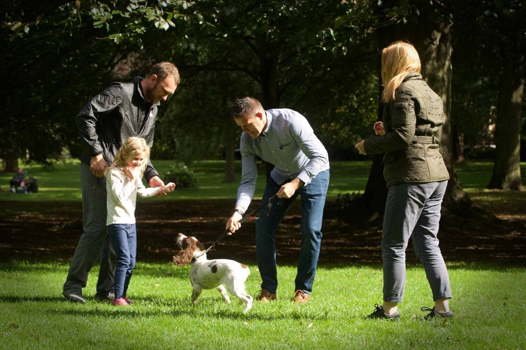 Common Dog Behavior Problems And How To Fix Them