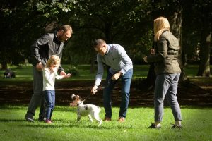 Common Dog Behavior Problems and How to Fix Them