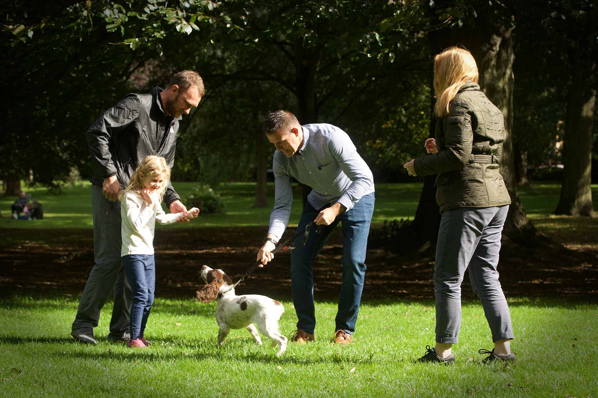 Common Dog Behavior Problems and How to Fix Them