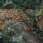 How to Prepare Your Garden for Spring