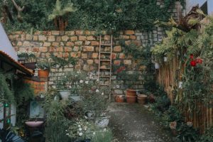 How to Prepare Your Garden for Spring