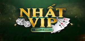 Download NHATVIP app quickly for Android and iOS phones