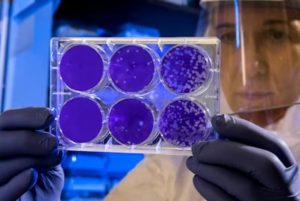 Stem Cells and Inflammation: How Mesenchymal Stem Cell Therapy Targets the Root Cause of Chronic Pain in Florida