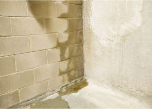 Interior Basement Waterproofing Tips Every Homeowner Should Know Before Water Problems Grow