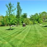 Landscaping Tips That Help Homeowners Create Outdoor Spaces They Love
