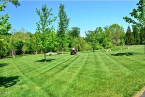 Landscaping Tips That Help Homeowners Create Outdoor Spaces They Love
