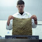 biodegradability testing