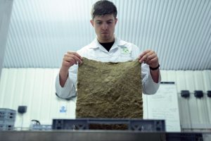 biodegradability testing
